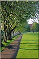 Footpath Around Playing Fields