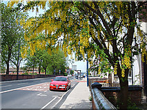 SJ9399 : Oldham Road, Ashton-under-Lyne by michael ely