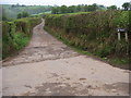 Farm track up to Cammant