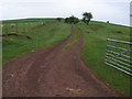 Footpath heading up the hill