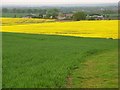 Farmland, Hawthorn Hill