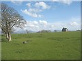 A roofless barn at Henblas