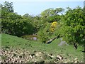 The water pool at Butterhole