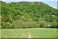 Field near Troed -y-rhiw