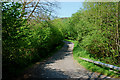 Road south of Troed Rhiw Gelynen farm