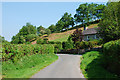 Road by Troedrhiwbeynon farm