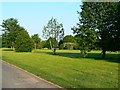 Public open space, south of Tovey Road, Pinehurst, Swindon