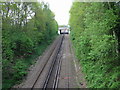 Looking N along railway line from Ashford