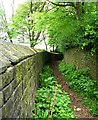 Footpath - Halifax Road