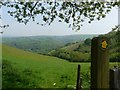 A view towards countryside south of Combe Martin