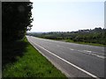 Dunhill Road (A37)