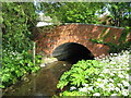 River Pinn and the Robbie Bell Bridge