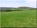 Knockmullen Townland