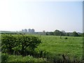 Fields by Braidfield Road