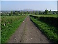 Road between Braidfield Road and Cleddans Road