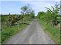 Road at Formoyle