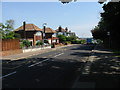 Looking NE along Telegraph Road