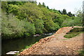 Mine Waste Tip on the banks of the River Tavy