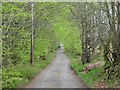 Glendevon House driveway