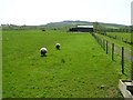 Knocknogher Townland