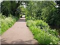 Footpath by Mill Stream