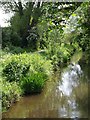 Mill Stream, Taunton