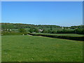 Countryside west of Bontuchel