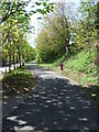 Down-line of old Deeside Railway