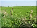 Clintagh Townland