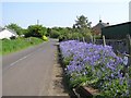 Road at Black Hill