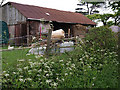 NZ7617 : Barn at Ridge Farm by Stephen McCulloch