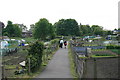 Allotment Gardens