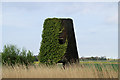 TG4309 : Old Hall Drainage Mill by Pierre Terre