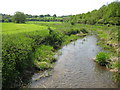 River Misbourne near Higher Denham