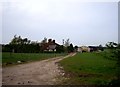 Track to Brook House Farm