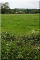 ST5196 : Farmland at St Arvans by Philip Halling