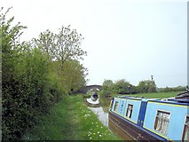 SJ5260 : Tiverton - canal boat at Dale's Bridge by Mike Harris