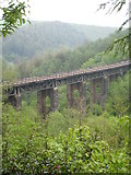 SX1764 : East Largin viaduct by Rod Allday