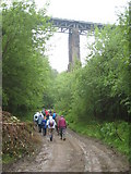 SX1764 : East Largin viaduct from Bodithiel Wood by Rod Allday