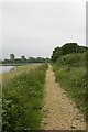 Path on isthmus between Rockford Lake and Ivy Lake