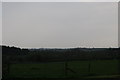 Grassland alongside the A4115 near Mounton Hill