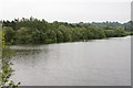 Northeastern corner of Blashford Lake