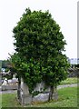 Unknown Mausoleum, Knockbreda Cemetery, Belfast