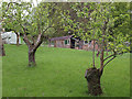 Small orchard near Iburndale Beck