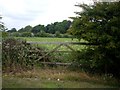 Gate to farmland, Higher Lane, near Dutton