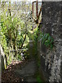 Footpath to the shore, Glyn Garth