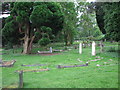 Grave yard under the trees