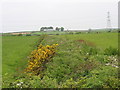 SH5072 : Field boundary with Ty'n Buarth Farm in the background by Eric Jones