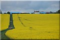 Farmland near Crossford