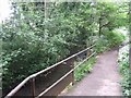 River Stour downstream of Halesowen Bypass